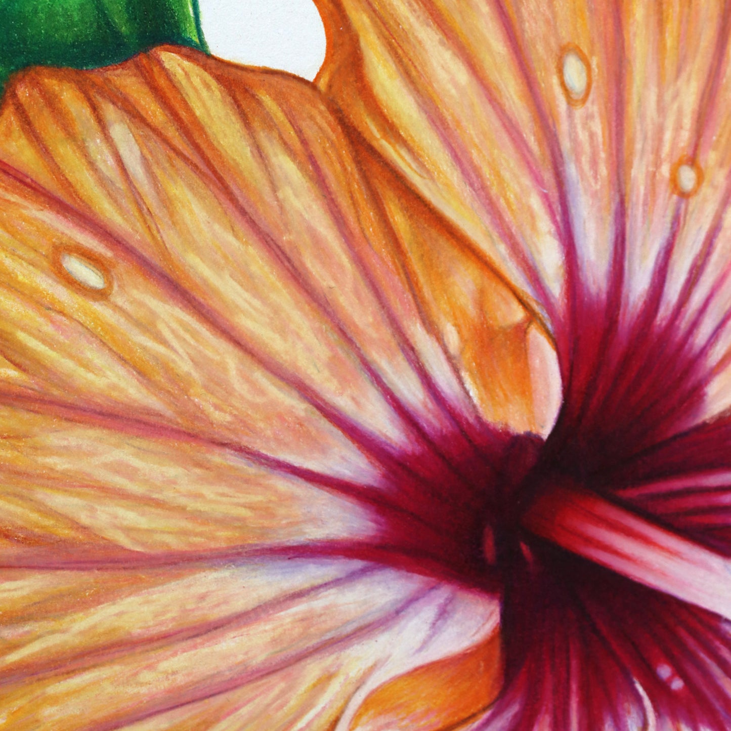 Mellow, Blooming