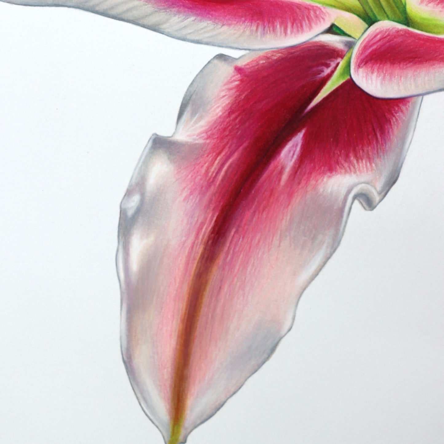 Lily Bloom, Blooming