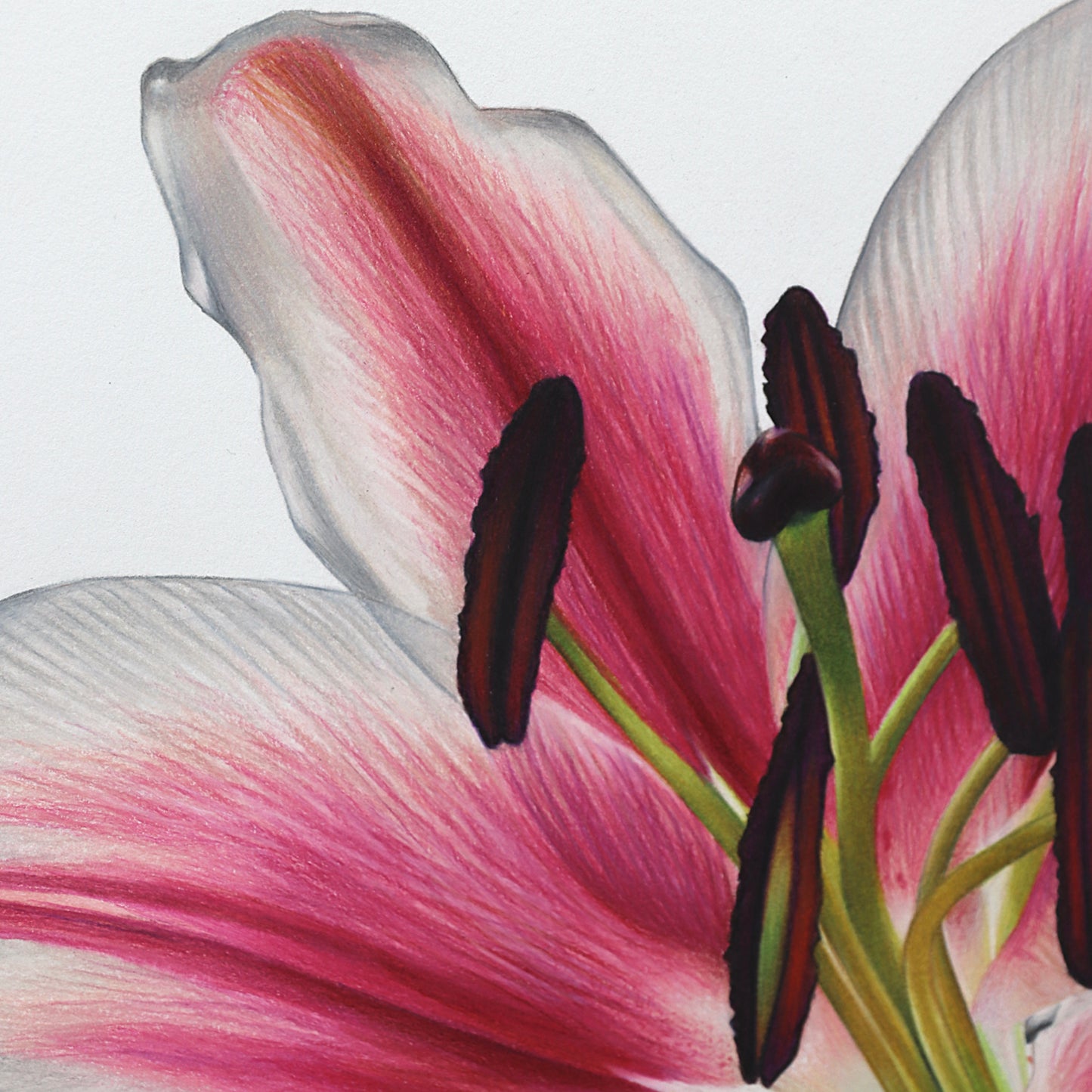 Lily Bloom, Blooming