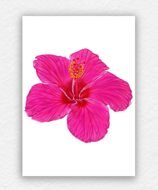 Bloom, Blooming