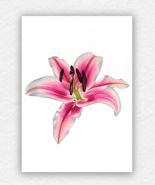 Lily Bloom, Blooming