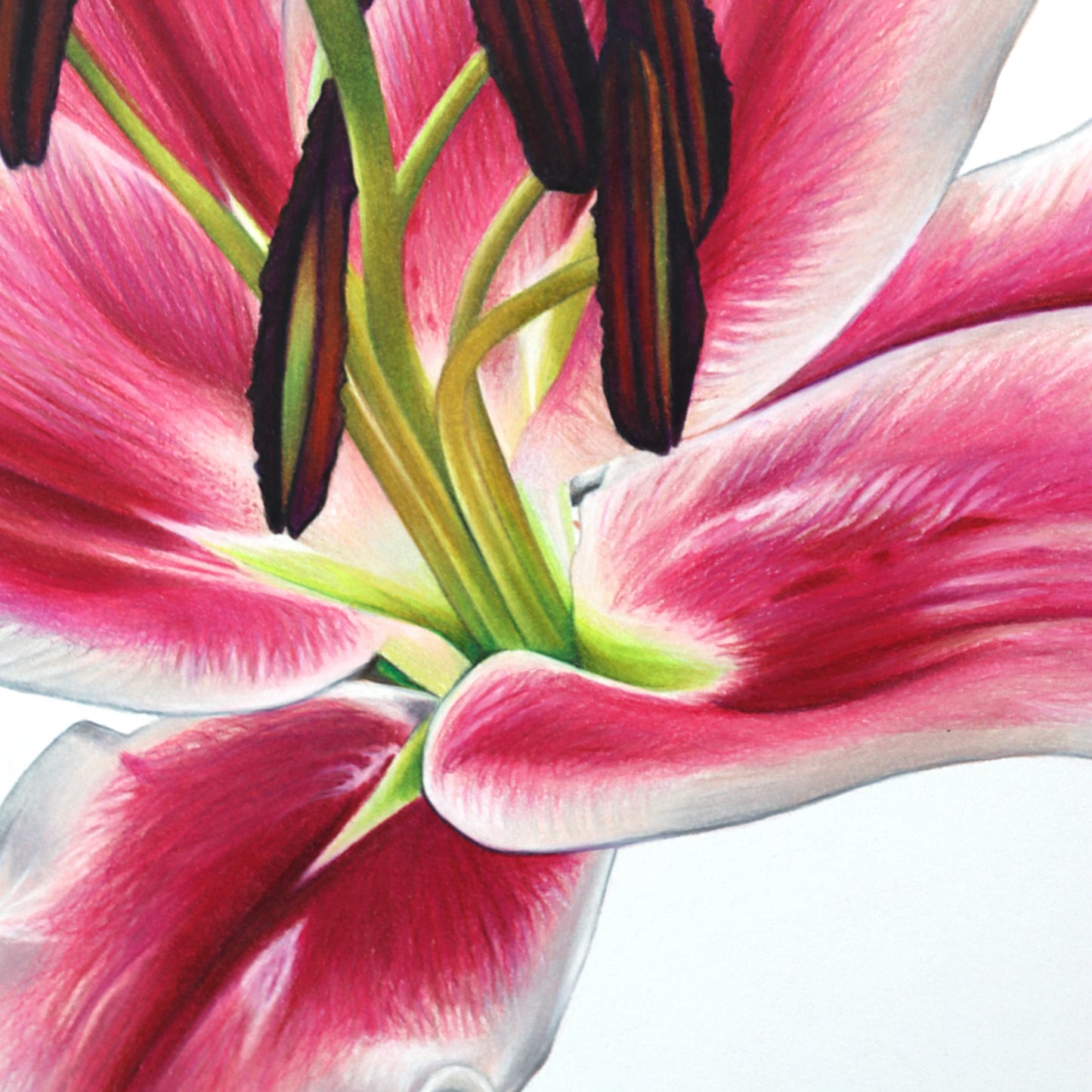 Lily Bloom, Blooming