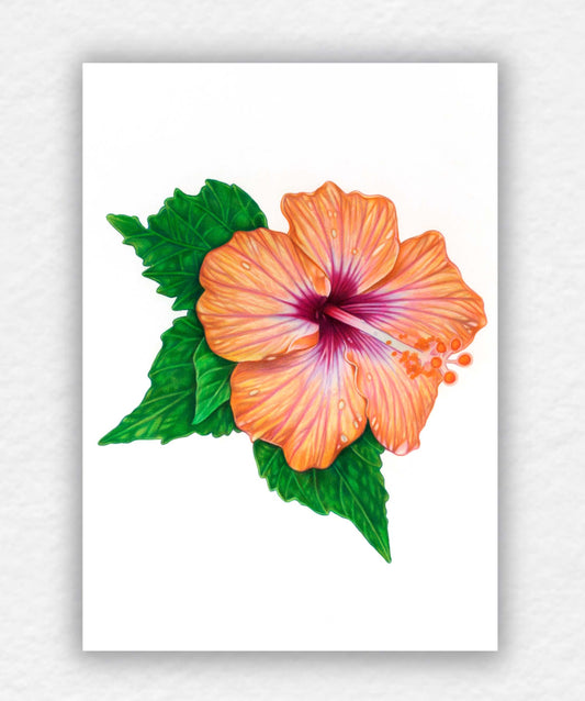 Mellow, Blooming