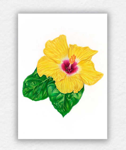 Sunshine, Blooming